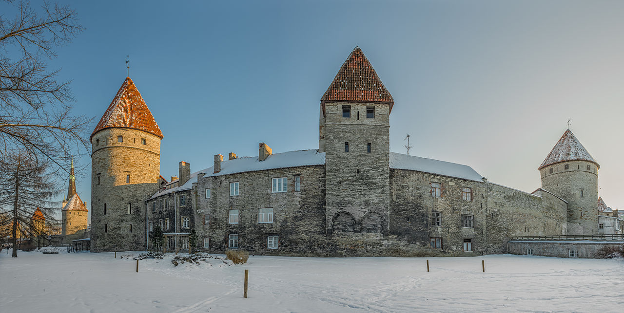 Leader of public diplomacy. Estonia
