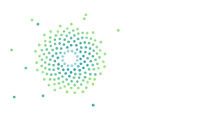 Лидер общественной дипломатии