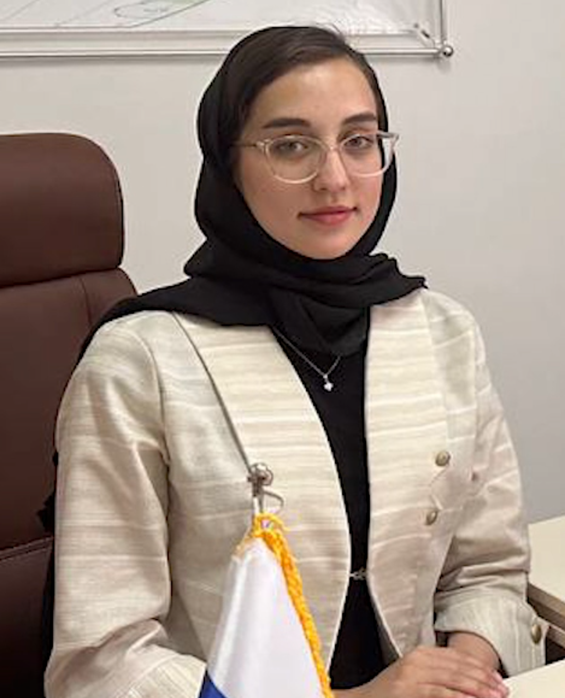 Delaram Asadollahi